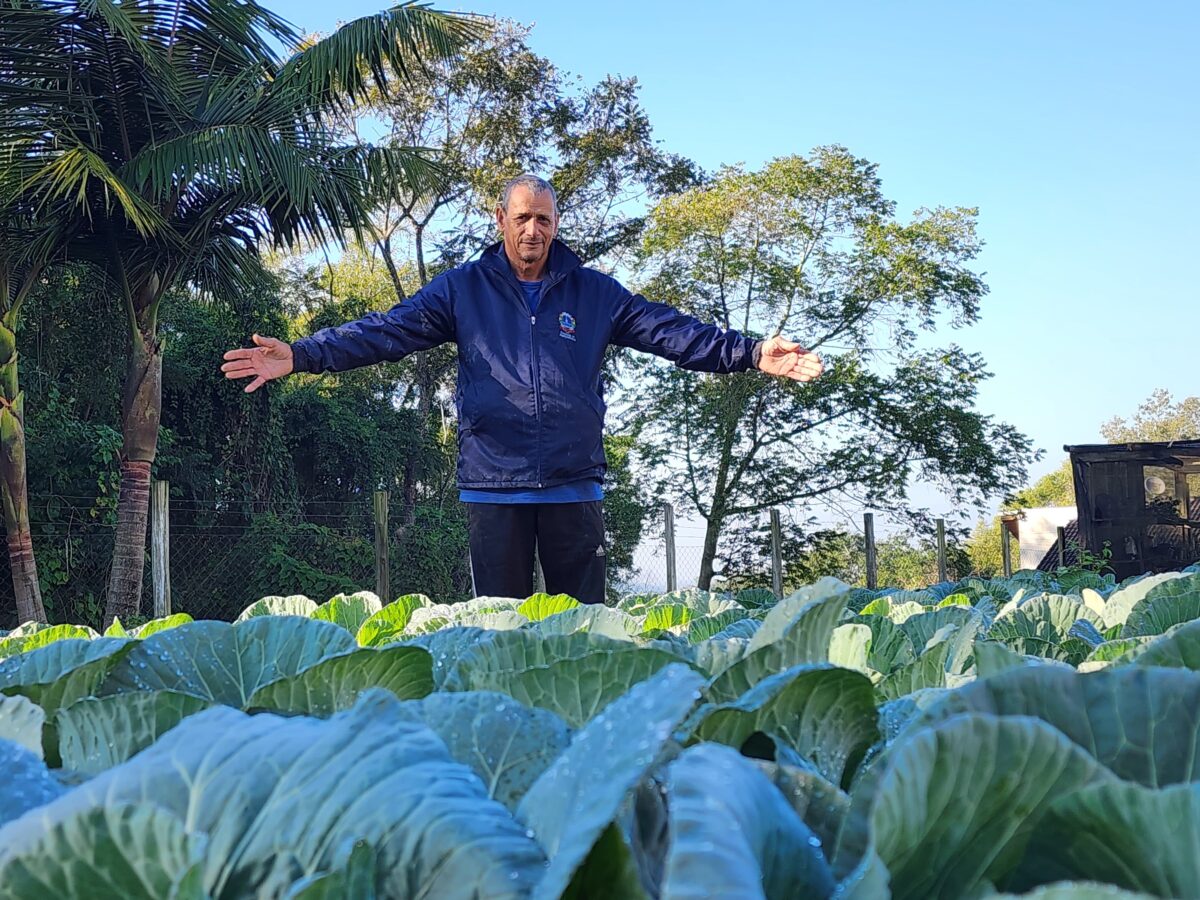 O “Veneno” que faz bem: há oito anos, Hilton Baldessar abastece a merenda escolar com alimentos frescos e saudáveis 1 O “Veneno” que faz bem: há oito anos, Hilton Baldessar abastece a merenda escolar com alimentos frescos e saudáveis