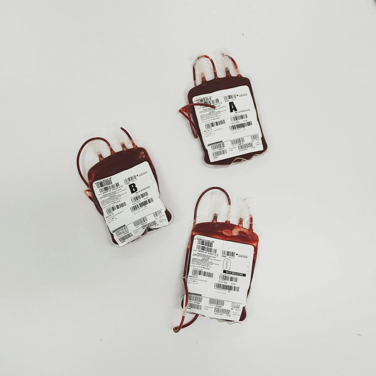 Doar sangue pode beneficiar a saúde do doador? Estudo sugere que sim