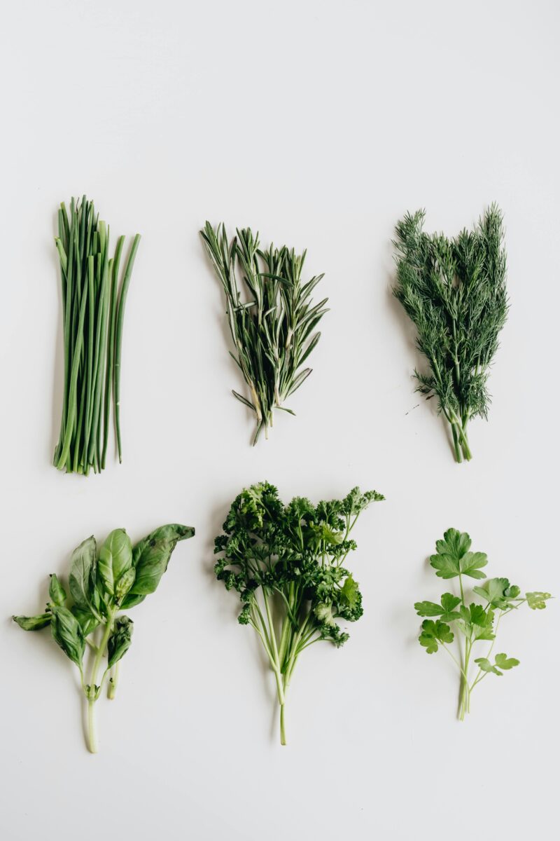 Uso de temperos naturais é alternativa para reduzir o consumo de sal no dia a dia 1 Uso de temperos naturais é alternativa para reduzir o consumo de sal no dia a dia