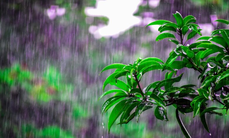 Santa Catarina terá última semana de inverno quente e com pancadas de chuva