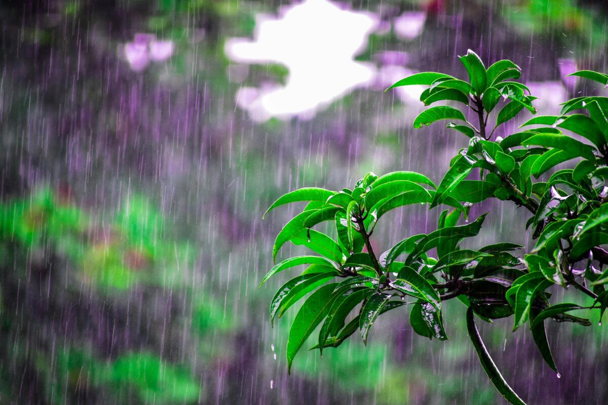 Santa Catarina terá última semana de inverno quente e com pancadas de chuva