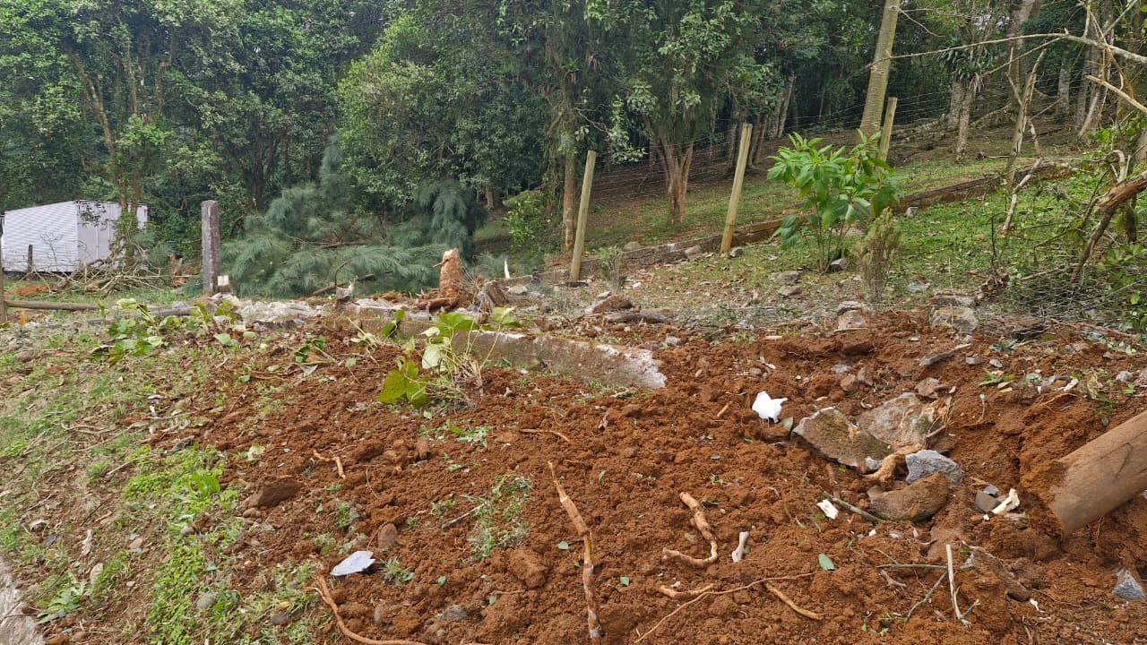 Caminhão sai da pista após ficar sem freios na rodovia Ângelo Moro 10 Caminhão sai da pista após ficar sem freios na rodovia Ângelo Moro