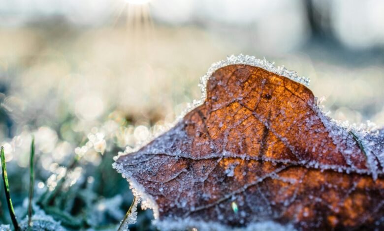Ar frio e seco marca a semana em Santa Catarina: sol, amanhecer gelado e chance de geada