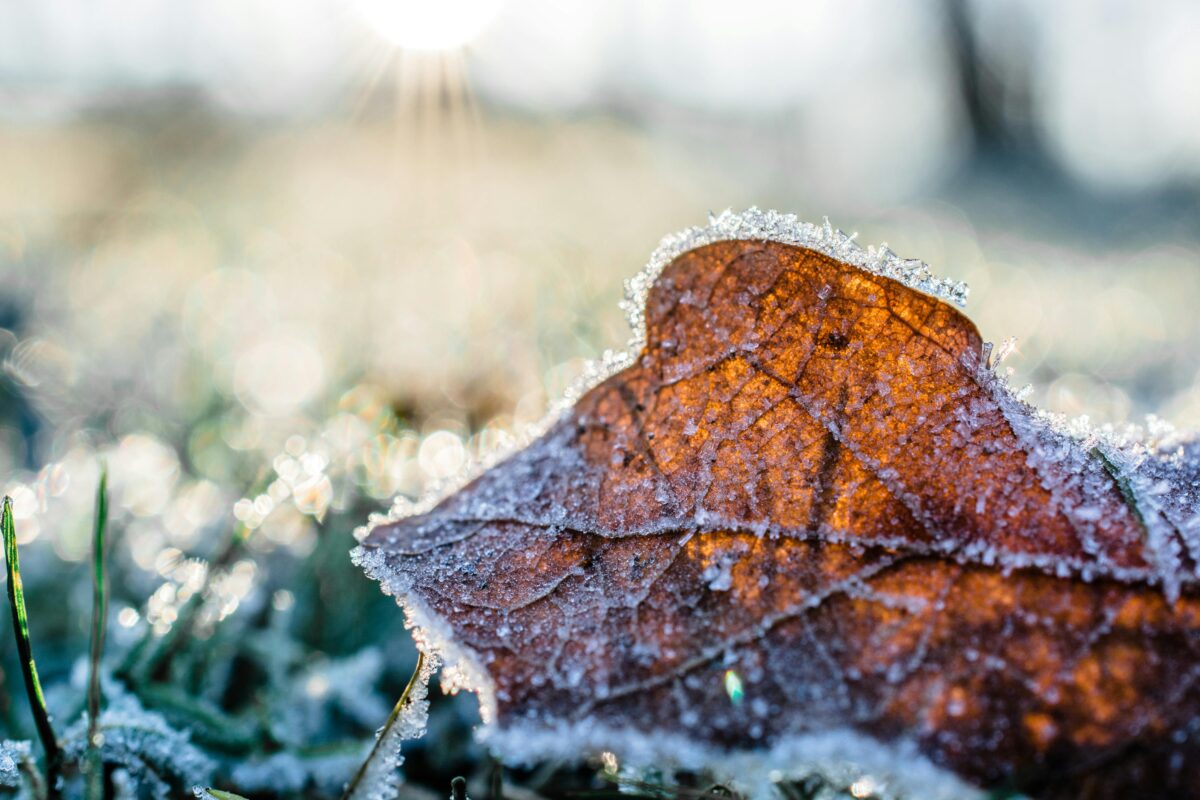 Ar frio e seco marca a semana em Santa Catarina: sol, amanhecer gelado e chance de geada 1 Ar frio e seco marca a semana em Santa Catarina: sol, amanhecer gelado e chance de geada