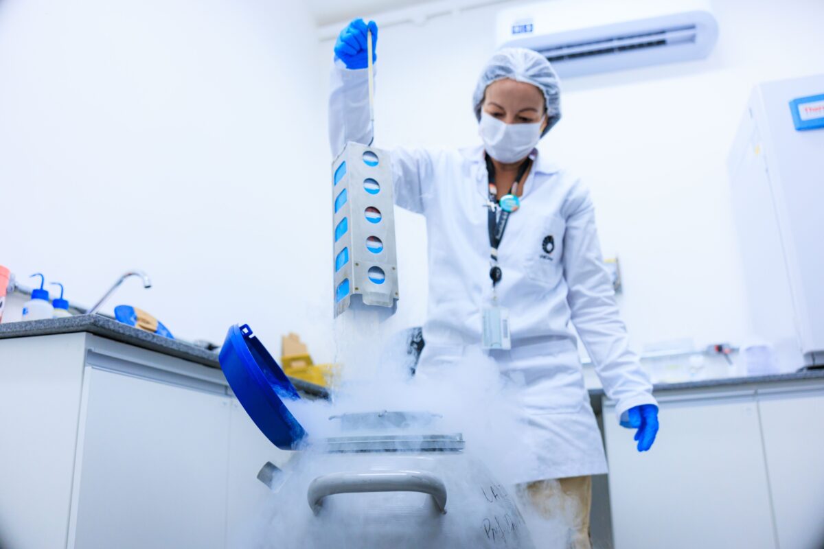 Em testes, nova terapia contra o câncer usa molécula do veneno de aranha para fortalecer sistema imunológico 2 Em testes, nova terapia contra o câncer usa molécula do veneno de aranha para fortalecer sistema imunológico