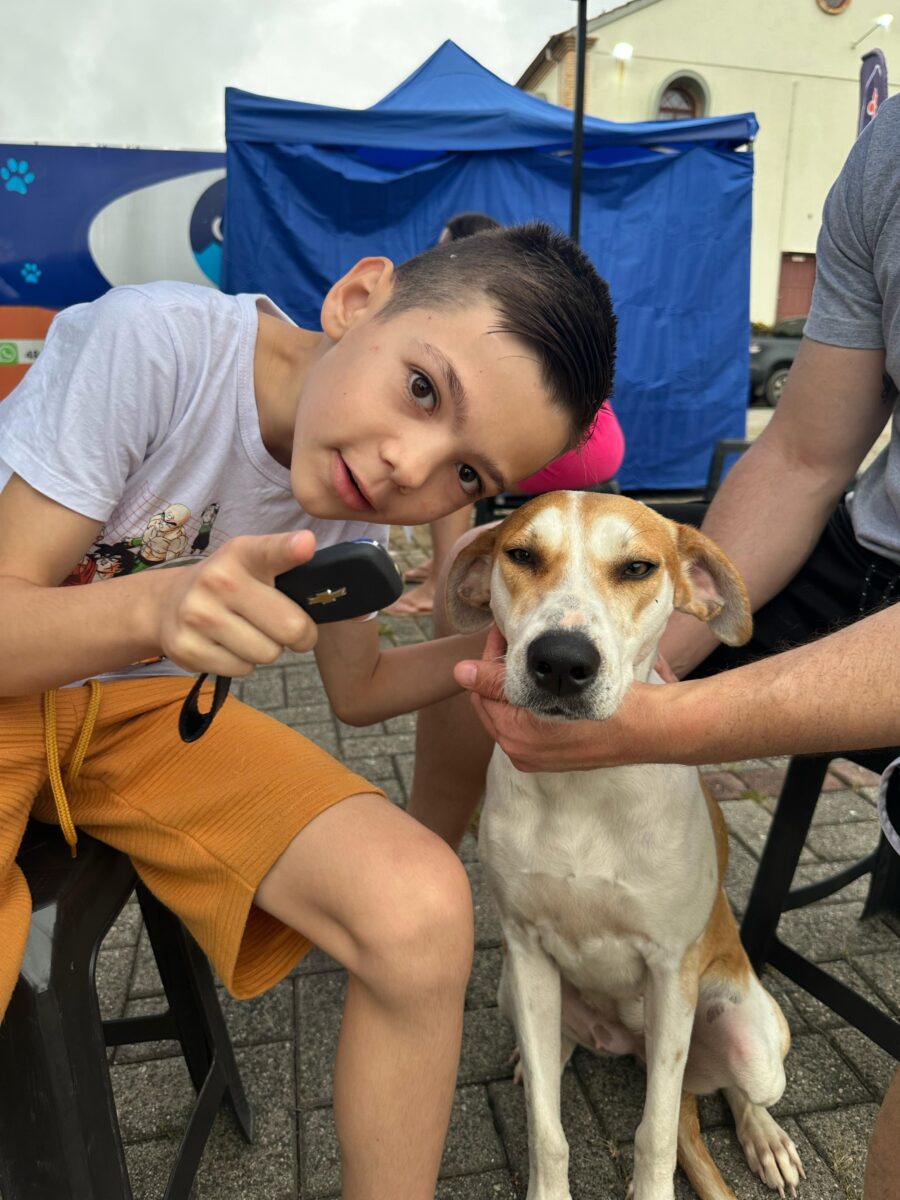 Nova Veneza avança no bem-estar animal com castrações contínuas e Castramóvel que atenderá todos os bairros a partir de 2026 2 Nova Veneza avança no bem-estar animal com castrações contínuas e Castramóvel que atenderá todos os bairros a partir de 2026