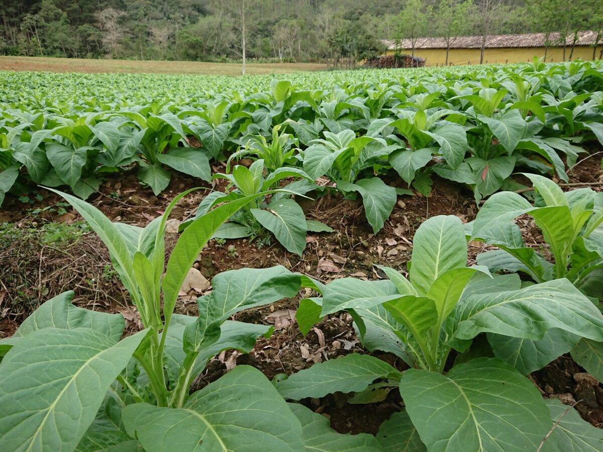 BRDE oferece Programa de Apoio para micro, pequenos empreendedores e produtores rurais atingidos por desastres naturais em SC 1 BRDE oferece Programa de Apoio para micro, pequenos empreendedores e produtores rurais atingidos por desastres naturais em SC