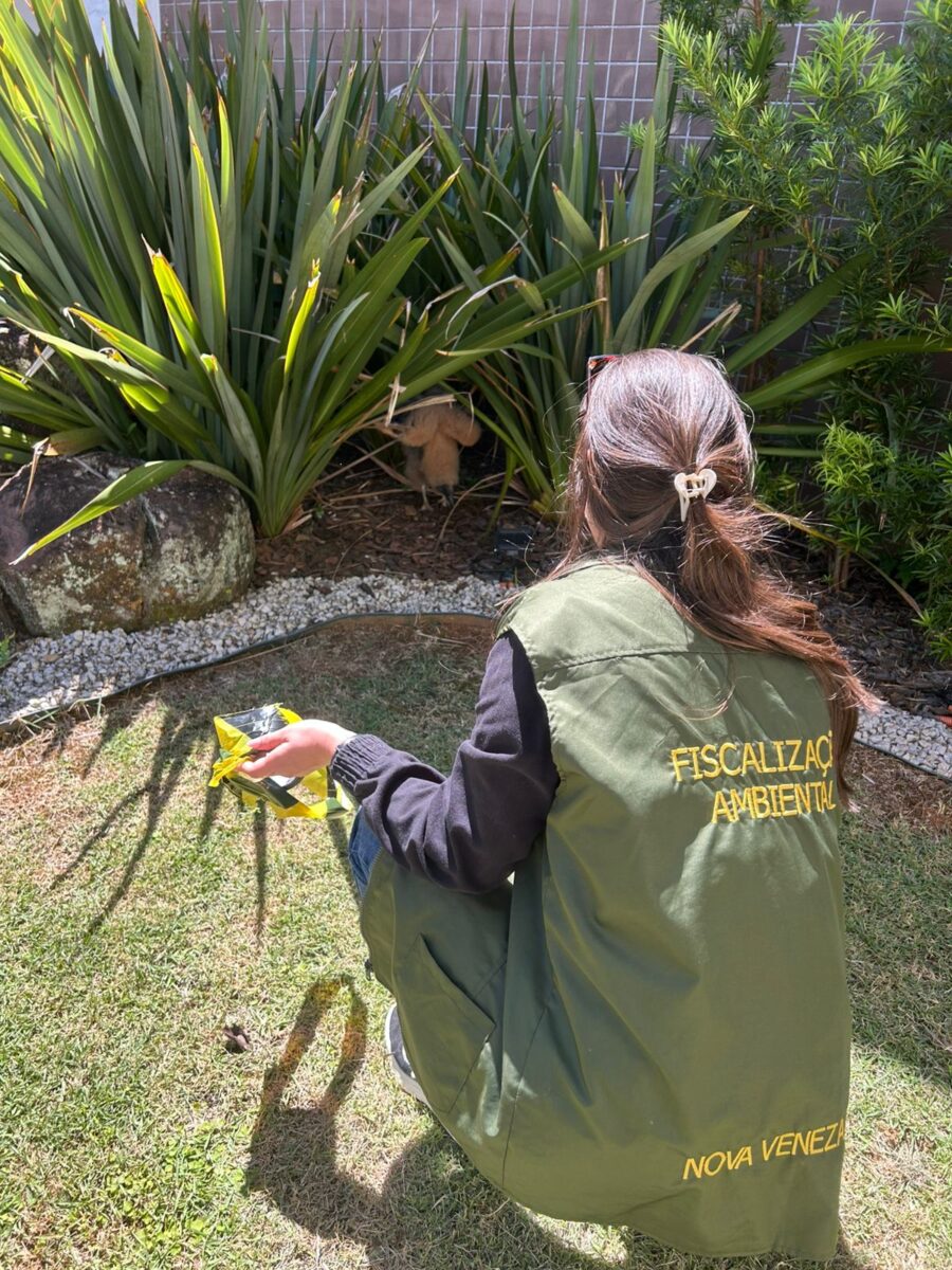 Caso do cão Orelha reacende debate sobre maus-tratos e reforça fiscalização em Nova Veneza 1 Caso do cão Orelha reacende debate sobre maus-tratos e reforça fiscalização em Nova Veneza