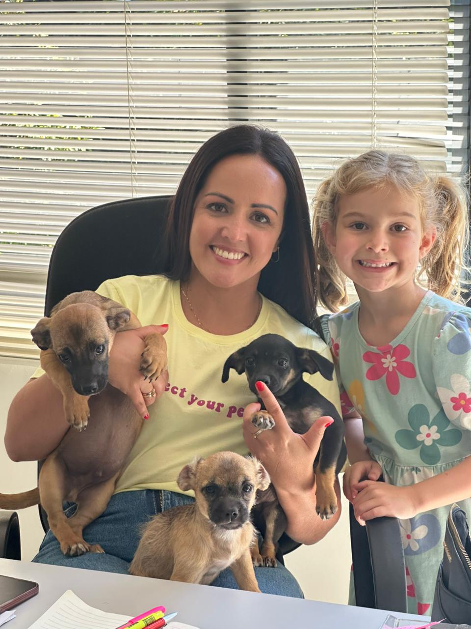 Caso do cão Orelha reacende debate sobre maus-tratos e reforça fiscalização em Nova Veneza 2 Caso do cão Orelha reacende debate sobre maus-tratos e reforça fiscalização em Nova Veneza