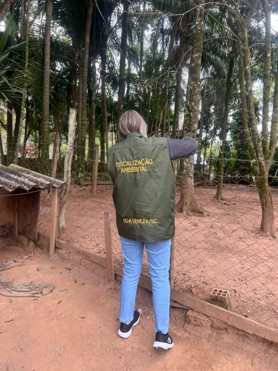 Caso do cão Orelha reacende debate sobre maus-tratos e reforça fiscalização em Nova Veneza 3 Caso do cão Orelha reacende debate sobre maus-tratos e reforça fiscalização em Nova Veneza