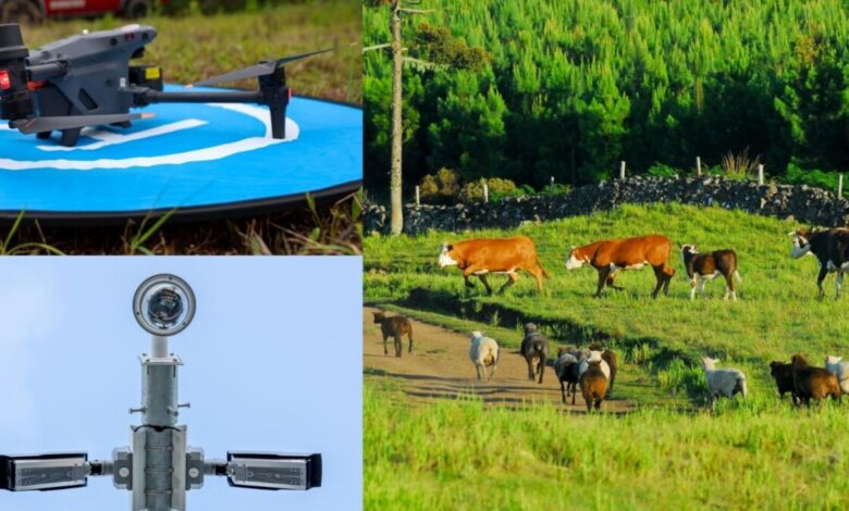 Programa Olho Bom moderniza o controle de trânsito de animais e fortalece a defesa agropecuária com tecnologia e inovação em SC