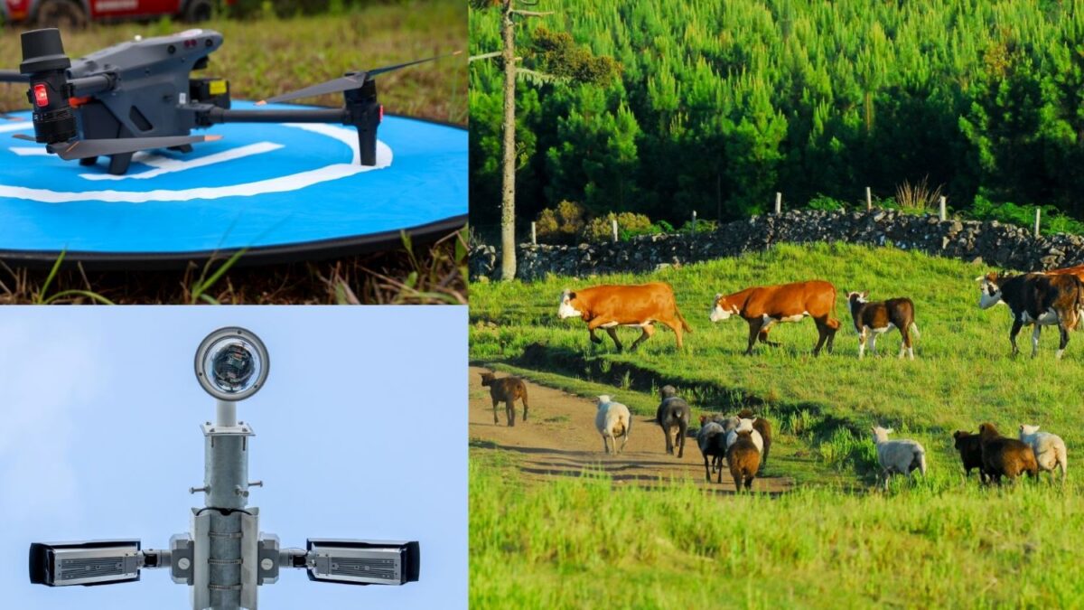 Programa Olho Bom moderniza o controle de trânsito de animais e fortalece a defesa agropecuária com tecnologia e inovação em SC 1 Programa Olho Bom moderniza o controle de trânsito de animais e fortalece a defesa agropecuária com tecnologia e inovação em SC