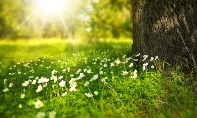 Instabilidade e calor: o que esperar do tempo até sexta-feira