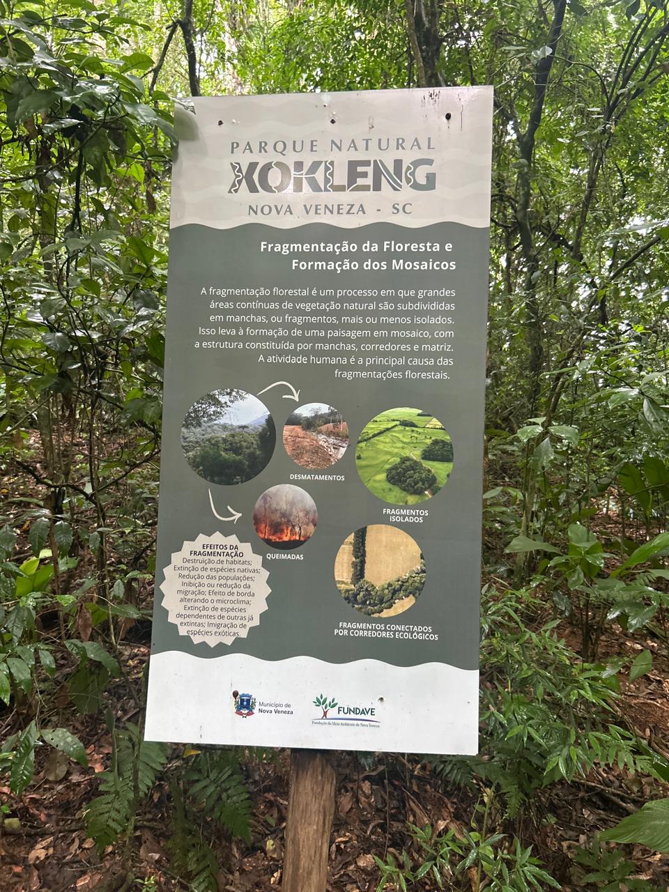 Nova Veneza promove oficina participativa para o plano de manejo do Parque Natural Xokleng 3 Nova Veneza promove oficina participativa para o plano de manejo do Parque Natural Xokleng