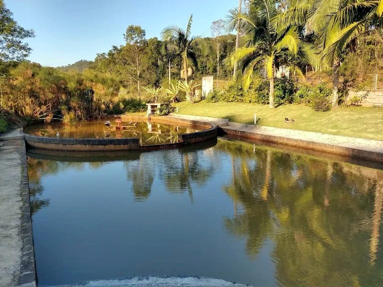 Baile de máscaras movimenta Nova Veneza no sábado