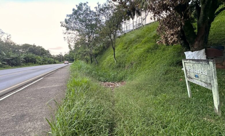 Necessidade de revitalização da Passarela dos Romeiros volta ao debate na região