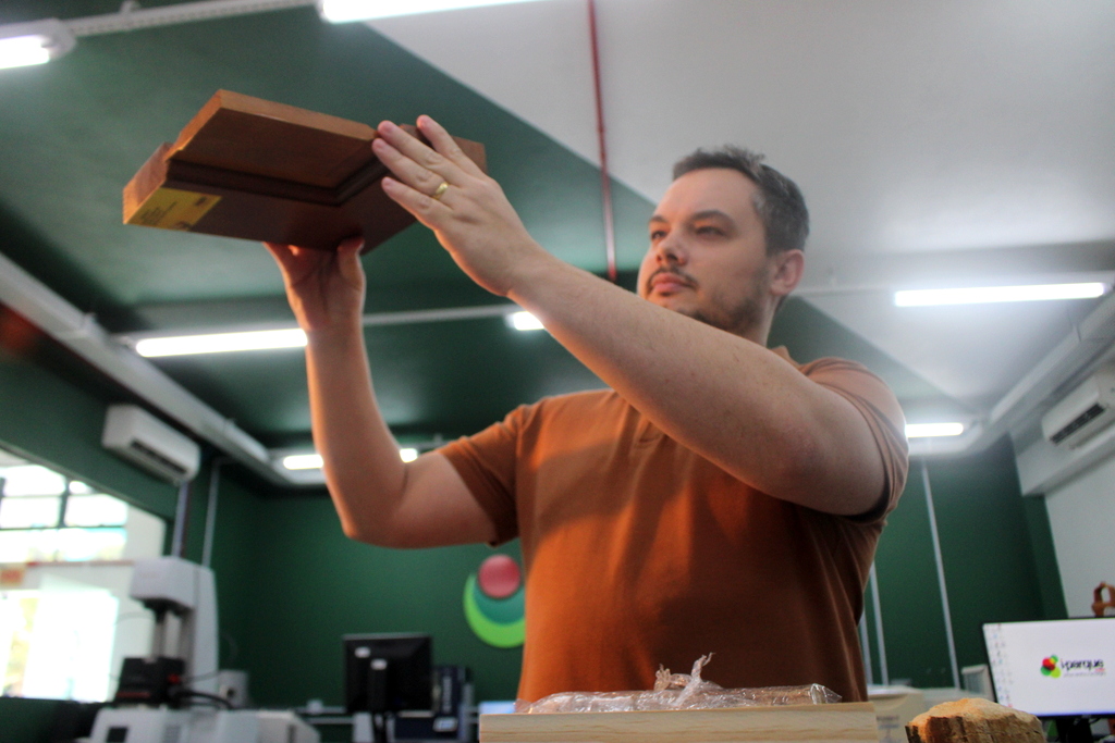 Pesquisa propõe alternativas sustentáveis para resíduos da indústria madeireira