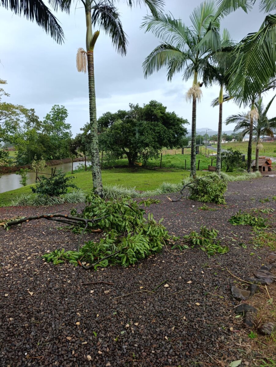 Temporal com granizo causa estragos em comunidades de Nova Veneza