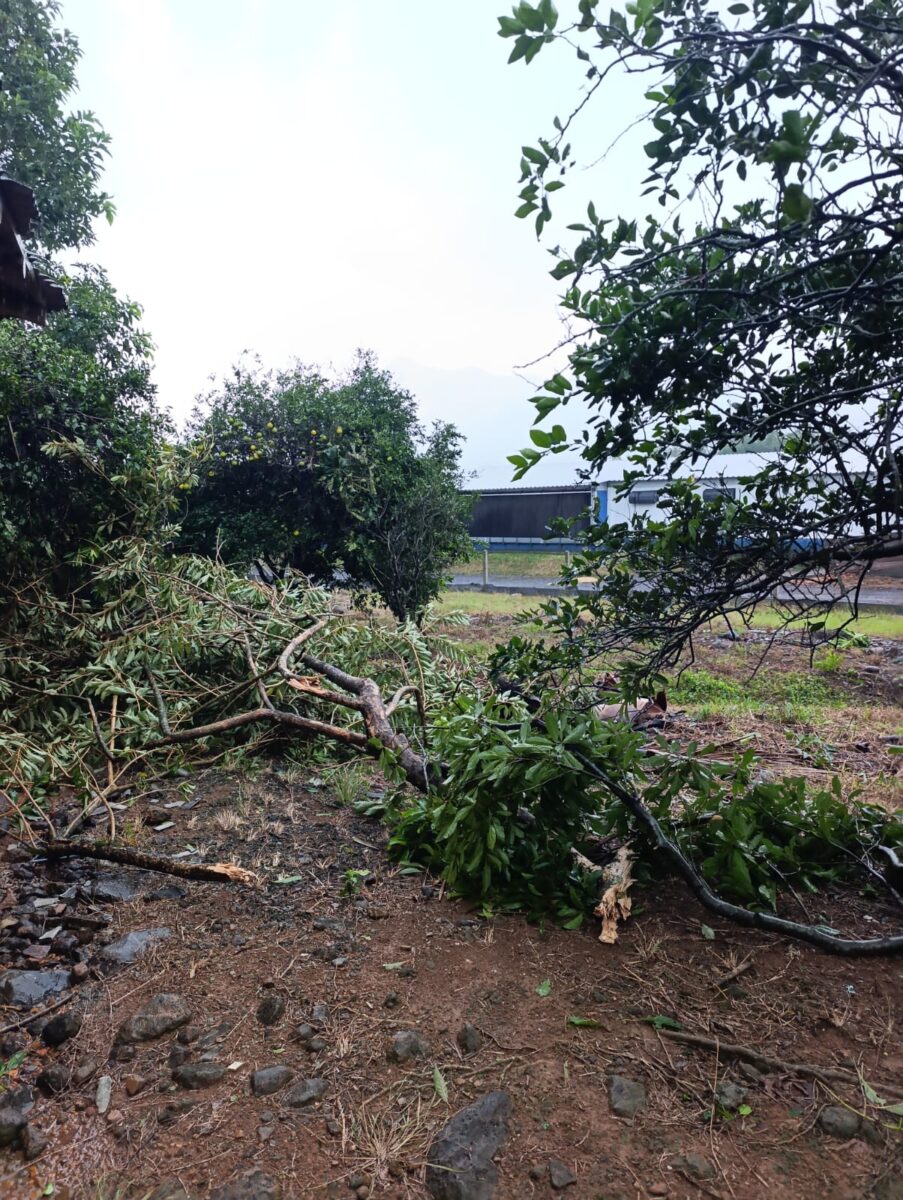 Temporal com granizo causa estragos em comunidades de Nova Veneza