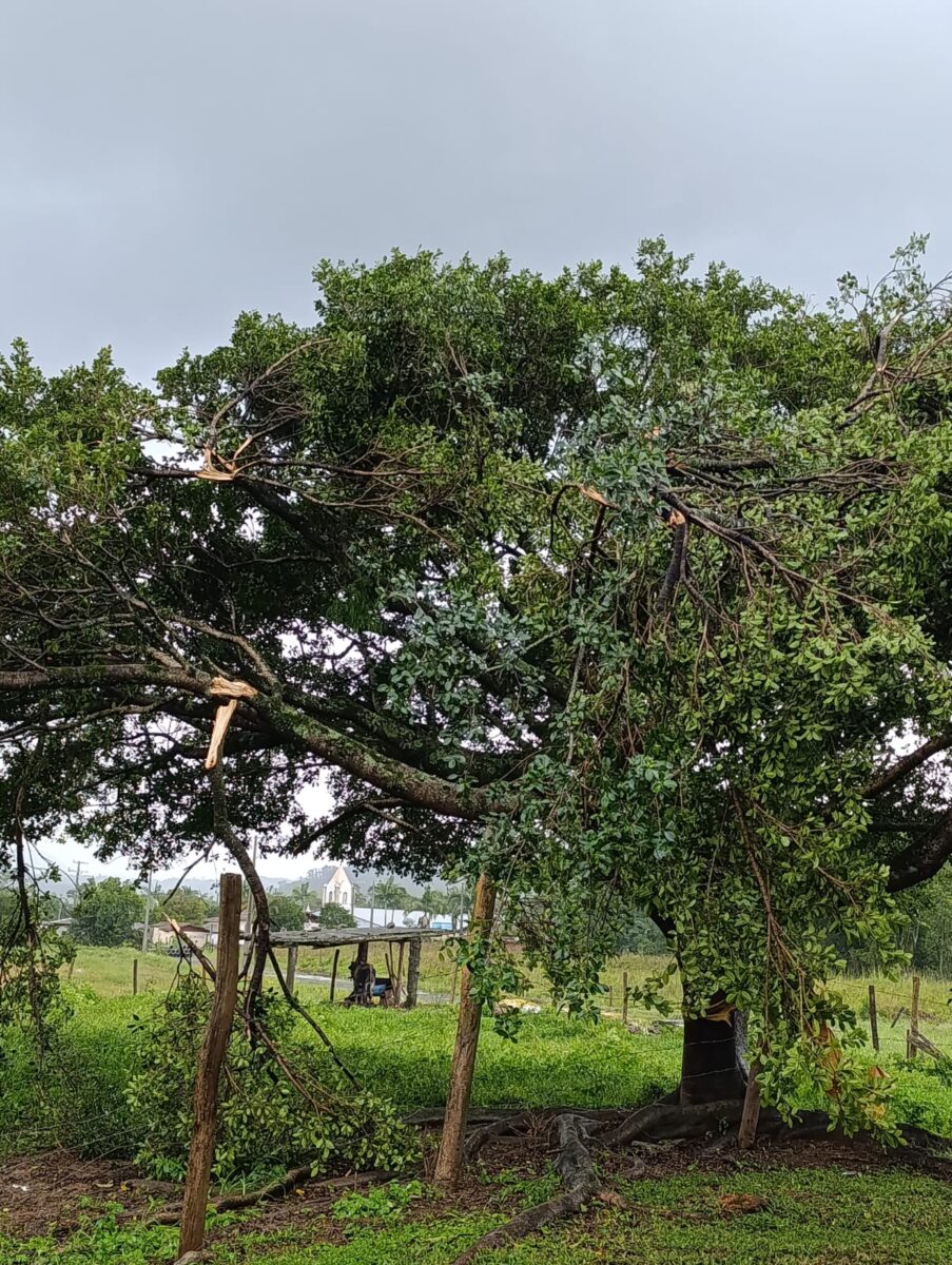 Temporal com granizo causa estragos em comunidades de Nova Veneza