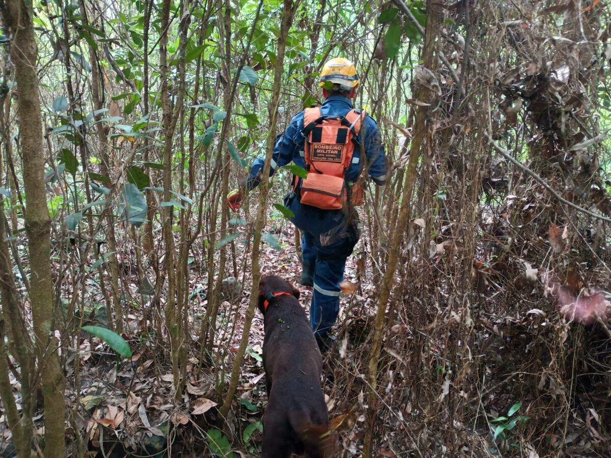 Homem desaparecido é encontrado morto em área de mata em Nova Veneza