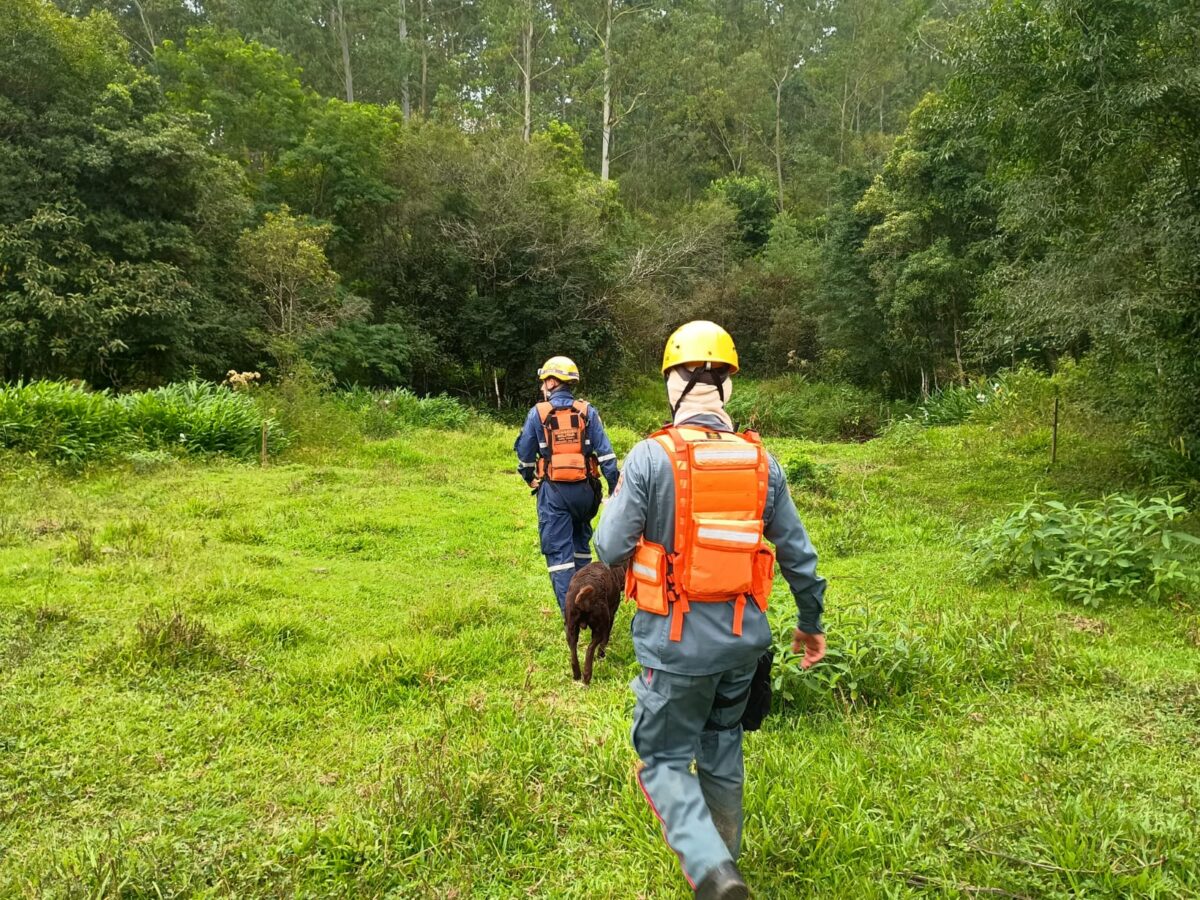 Homem desaparecido é encontrado morto em área de mata em Nova Veneza