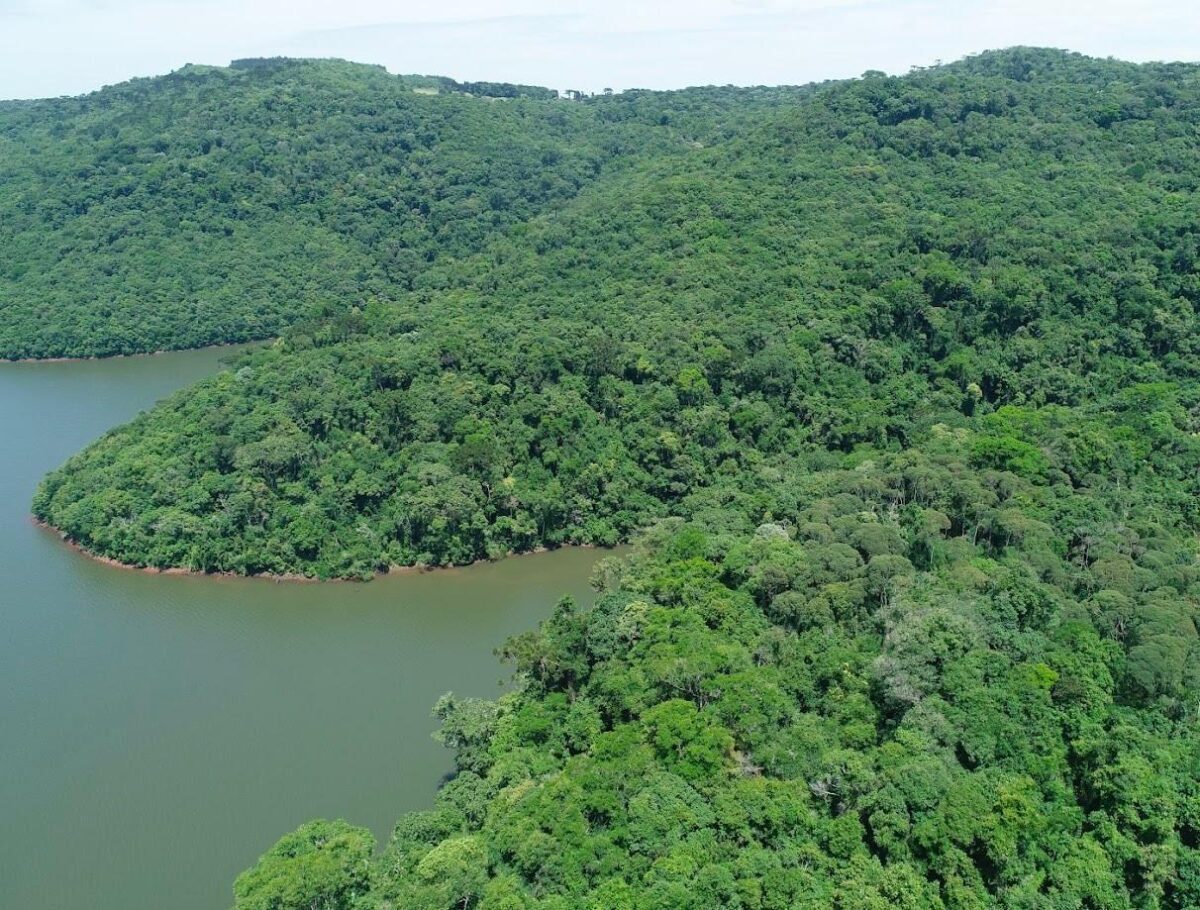 No Junho Verde, Governo do Estado destaca projetos e ações que impulsionam o desenvolvimento sustentável de Santa Catarina 1 No Junho Verde, Governo do Estado destaca projetos e ações que impulsionam o desenvolvimento sustentável de Santa Catarina
