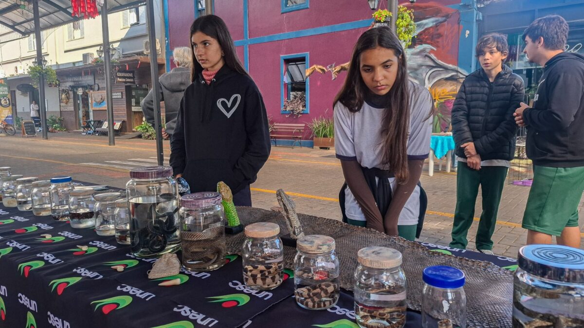 Programação especial mobiliza comunidade e fortalece educação ambiental em Nova Veneza