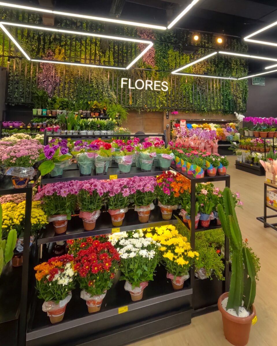 Flores, oficinas e novidades: 9ª Expo Flores Bistek celebra a chegada da Primavera 2 Flores, oficinas e novidades: 9ª Expo Flores Bistek celebra a chegada da Primavera