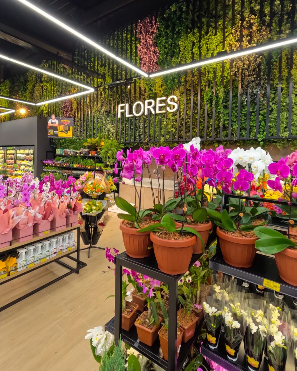 Flores, oficinas e novidades: 9ª Expo Flores Bistek celebra a chegada da Primavera 1 Flores, oficinas e novidades: 9ª Expo Flores Bistek celebra a chegada da Primavera