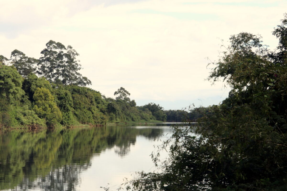 Dia Mundial da Água: Unesc atua como entidade executiva em bacias hidrográficas do Sul 1 Dia Mundial da Água: Unesc atua como entidade executiva em bacias hidrográficas do Sul