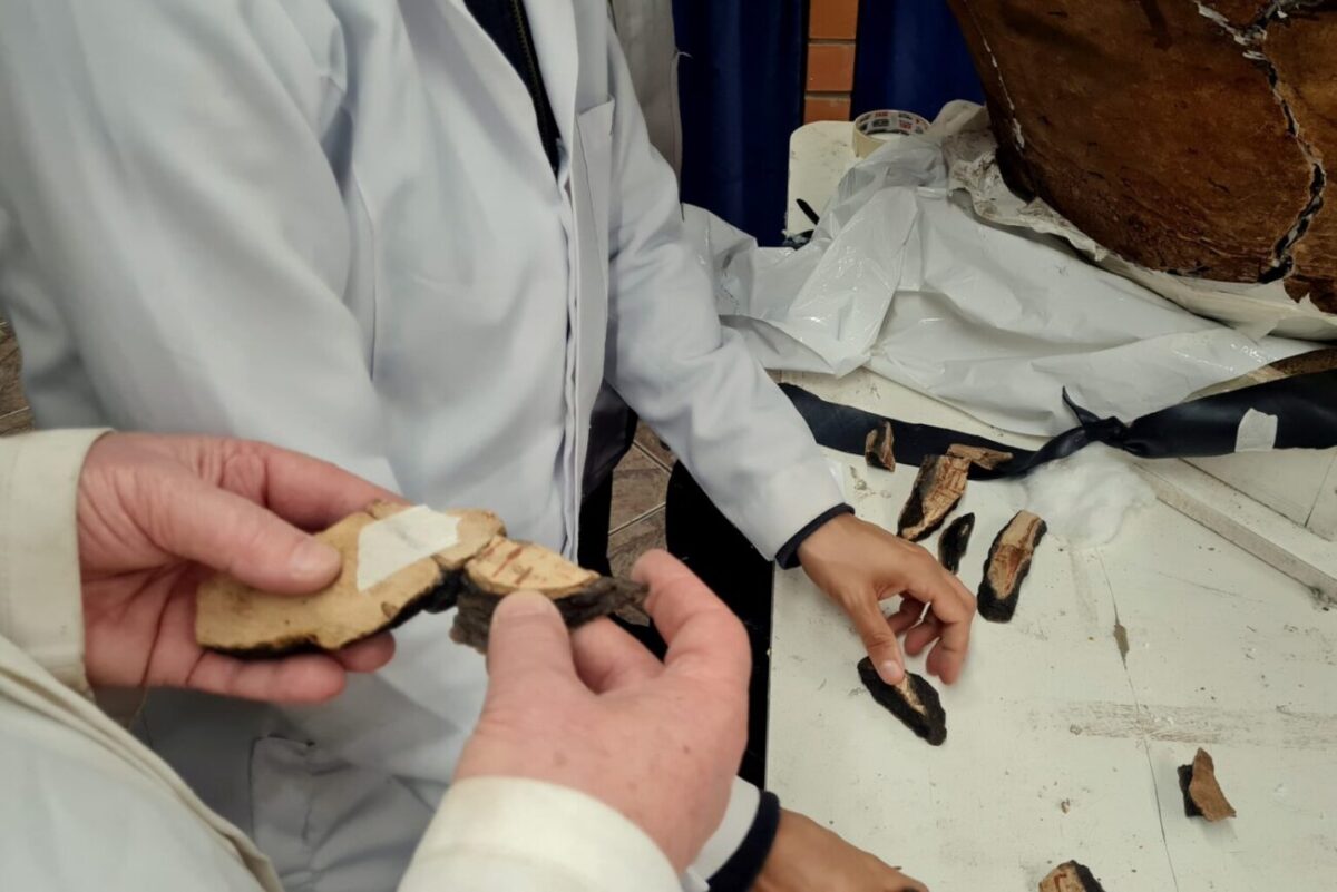 Artefato de cerâmica Tupiguarani é remontado no Museu ao Ar Livre em Orleans 1 Cerâmica Tupiguarani