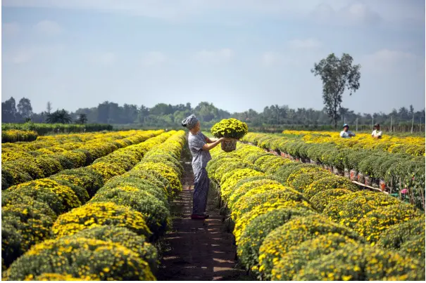 Como funciona a aposentadoria para o agricultor rural?