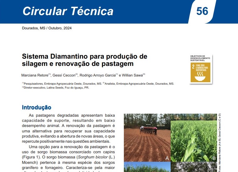 Pastagem renovada com lucro para o pecuarista 2 Pastagem renovada com lucro para o pecuarista