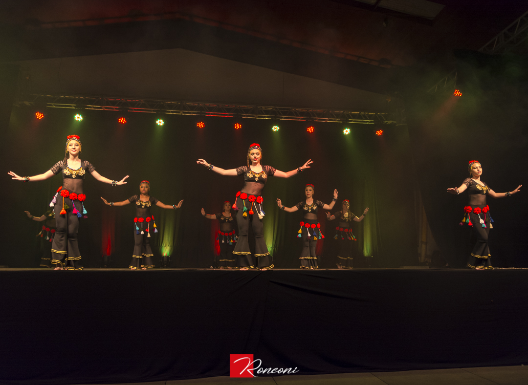 10° Danza Veneza acontece neste sábado em Nova Veneza 1 Danza Veneza