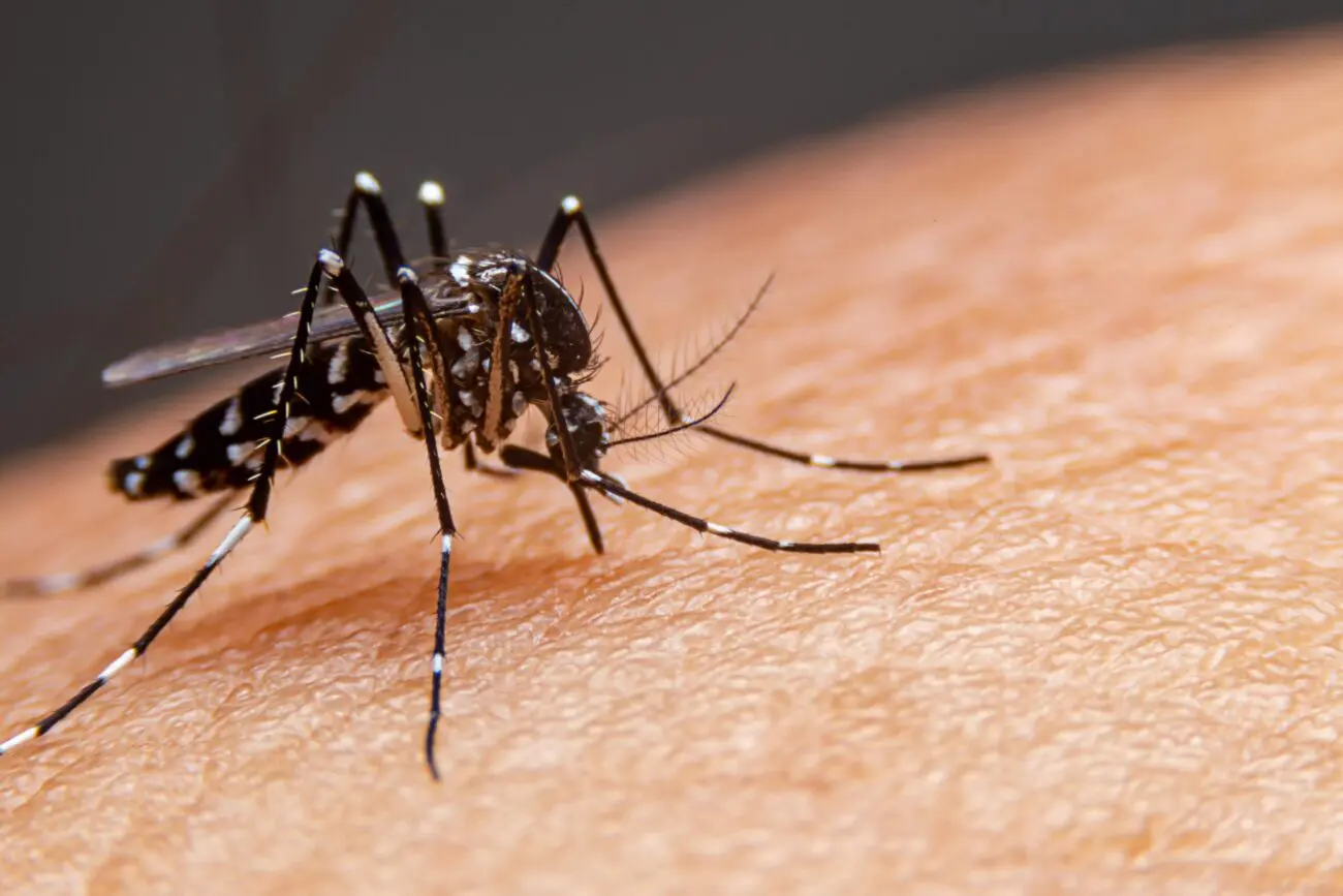 HSJosé realiza estudo clínico de vacina contra a Dengue