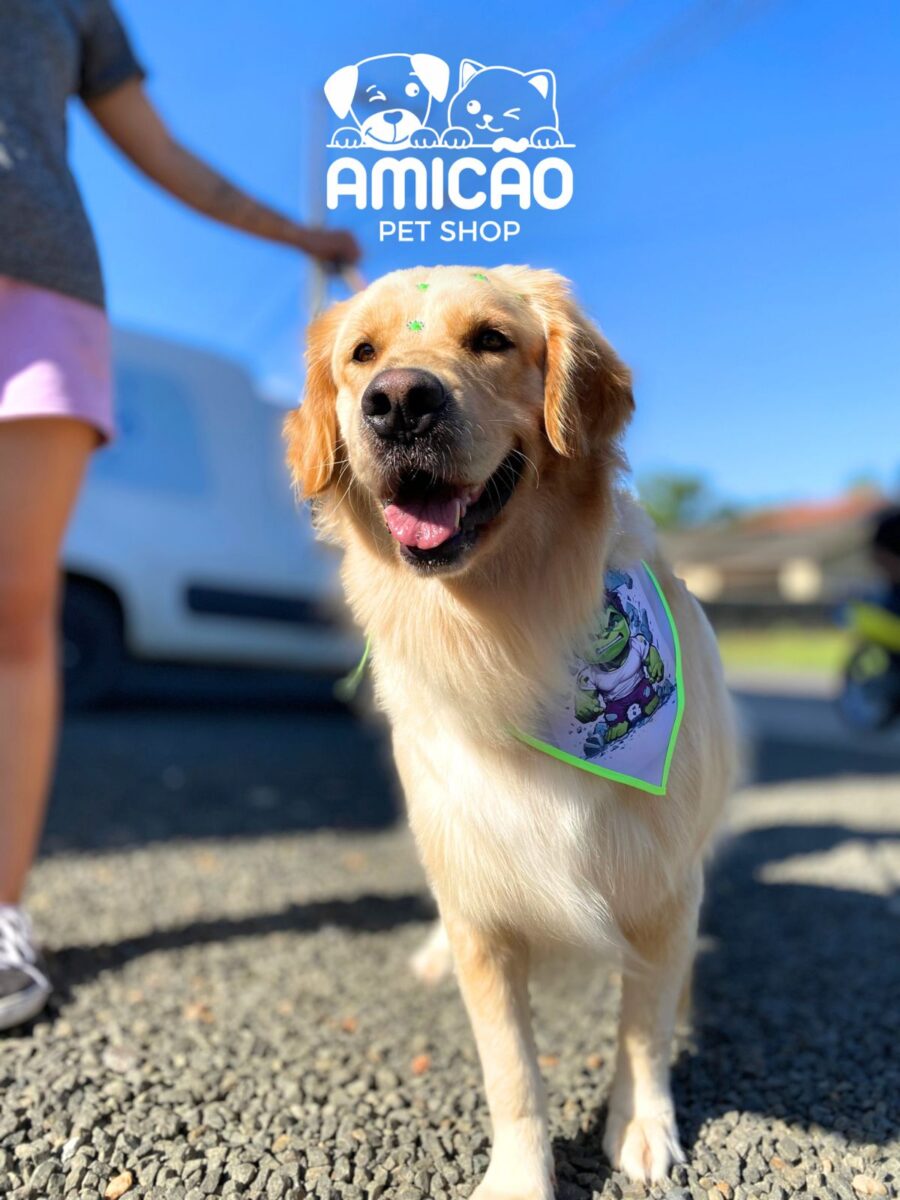 Amicão Pet Shop alia cuidado e carinho para o seu pet no Centro da cidade 2 Amicão Pet Shop alia cuidado e carinho para o seu pet no Centro da cidade