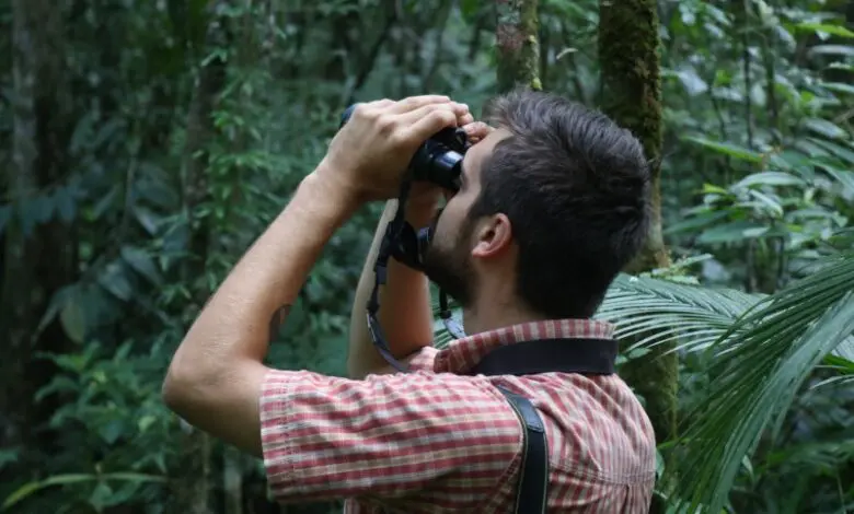 Parque Xokleng receberá evento de observação de aves