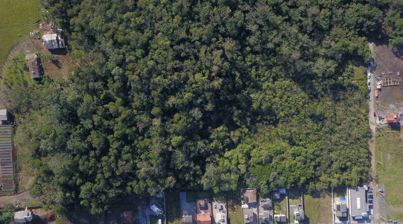 Parque Xokleng: audiência pública irá mostrar trabalhos de estruturação 1 Vista aérea do Parque Xokleng