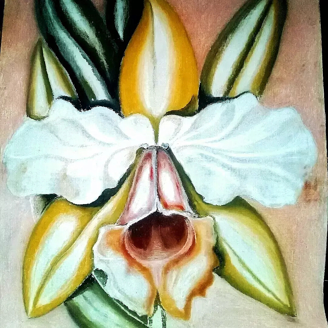 Artista neoveneziano utiliza argila da cidade como matéria prima para seus quadros 1 Artista neoveneziano utiliza argila da cidade como matéria prima para seus quadros