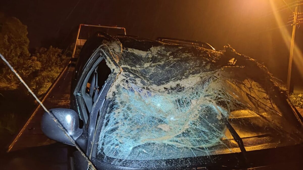 Condutora sai ilesa depois de caminhonete capotar em Nova Veneza 6 Condutora sai ilesa depois de caminhonete capotar em Nova Veneza