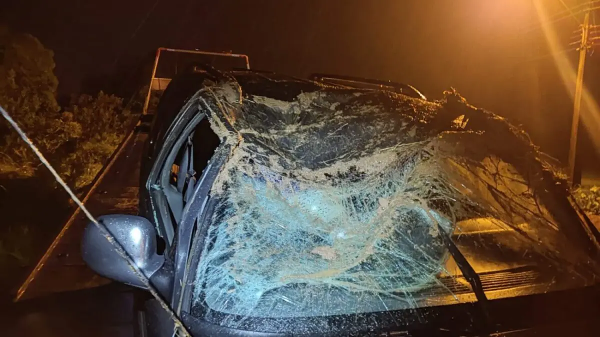 Condutora sai ilesa depois de caminhonete capotar em Nova Veneza