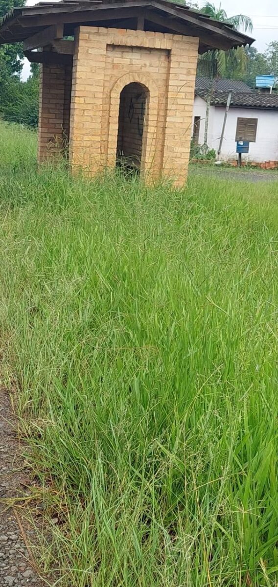 Moradores do Nossa Senhora de Lourdes se sentem abandonados pelo poder público de Nova Veneza 1 Moradores do Nossa Senhora de Lourdes se sentem abandonados pelo poder público de Nova Veneza