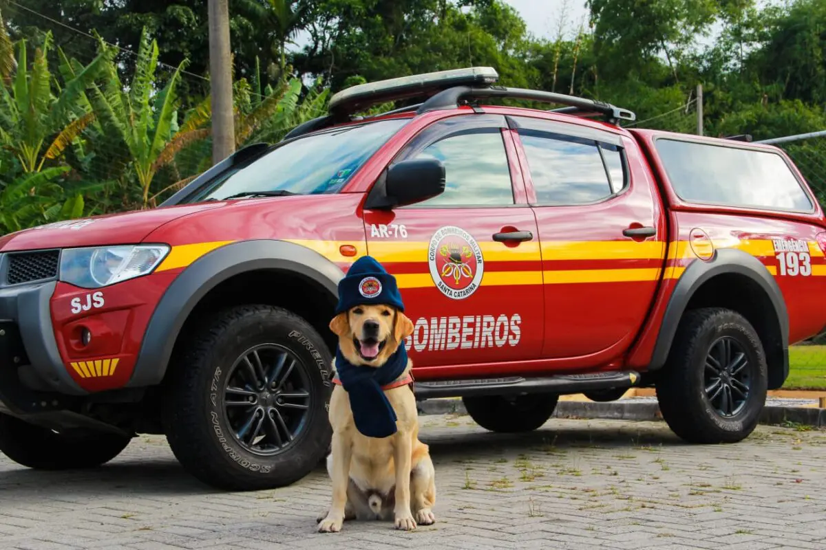 Quartéis do Corpo de Bombeiros no sul são pontos de doações para Campanha do Agasalho