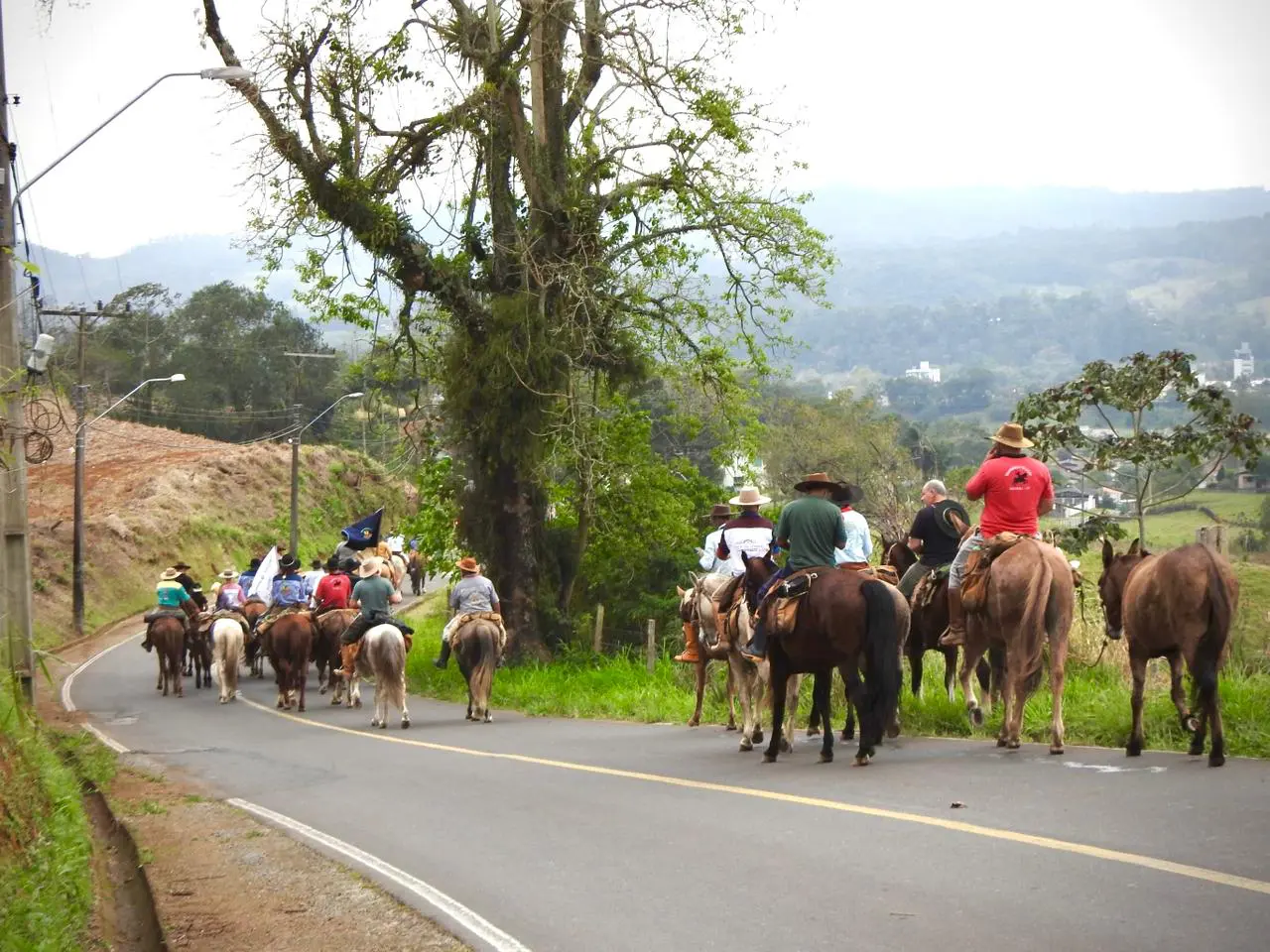 Tropeiros de Urubici descem a serra pelo Caminho dos Tropeiros até Nova Veneza