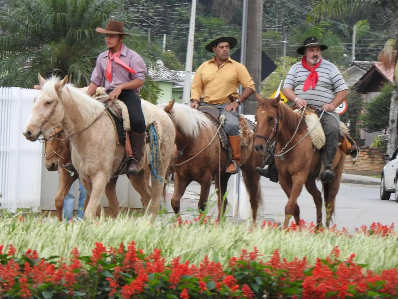 Tropeiros de Urubici descem a serra pelo Caminho dos Tropeiros até Nova Veneza