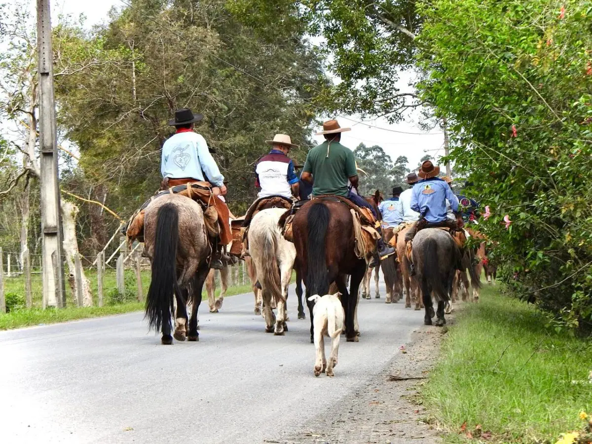 Tropeiros de Urubici descem a serra pelo Caminho dos Tropeiros até Nova Veneza