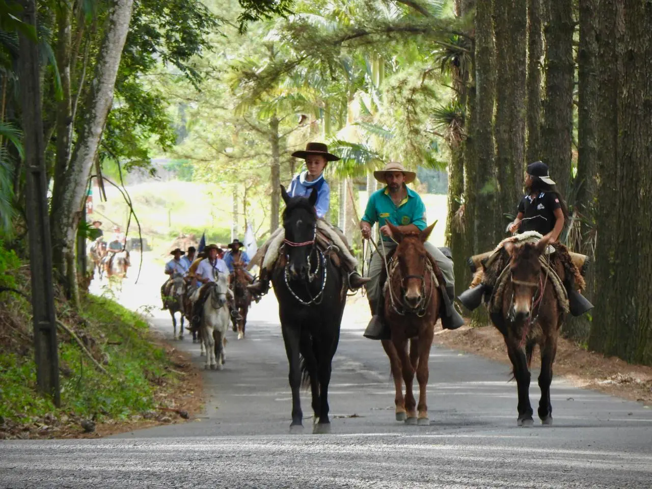 Tropeiros de Urubici descem a serra pelo Caminho dos Tropeiros até Nova Veneza