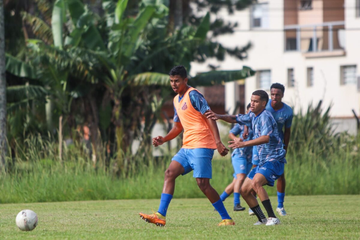 Azulão se prepara para o Estadual Sub-21 1 Azulão se prepara para o Estadual Sub-21