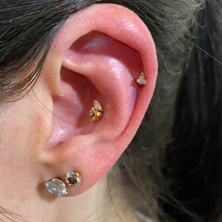 A arte da perfuração auricular sem traumas com Laís Margotti Cardoso 5 A arte da perfuração auricular sem traumas com Laís Margotti Cardoso